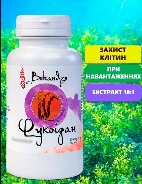 Фукоидан 400 мг &mdash; при сниженном тонусе иммунитета, медленном восстановлении и окислительном стрессе, 60 капсул 688845430 фото