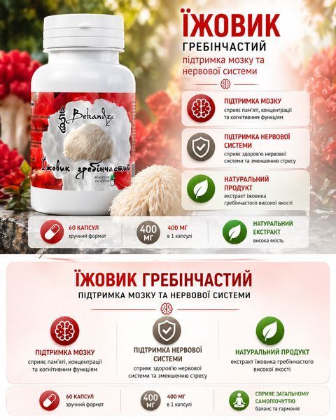 Комплекс грибів 400 мг &mdash; при зниженому тонусі імунітету та потребі у комплексній грибній підтримці, 3&times;60 таблеток 2360212793 фото