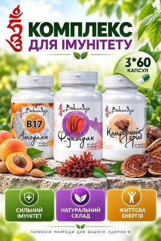 Комплекс для імунітету, 3&times;60 капсул &mdash; фукоїдан і камфорний гриб при перевтомі і в сезон застуд для підтримки імунітету 2371367129 фото