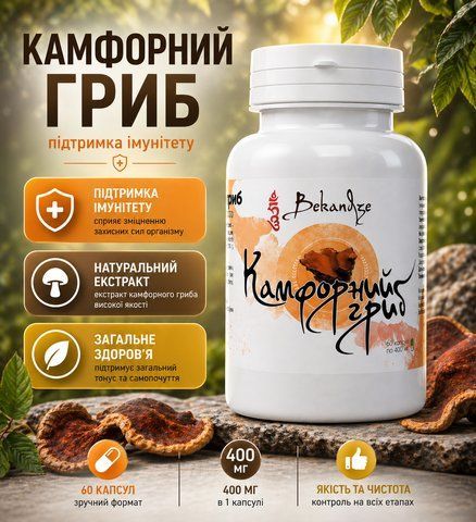 Камфорний гриб 400 мг &mdash; при зниженому тонусі імунітету, повільному відновленні печінки та детоксі, 60 капсул 775711882 фото